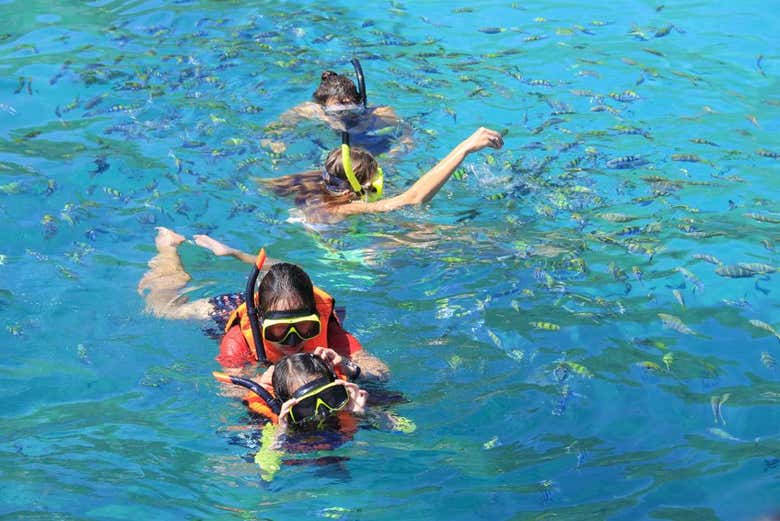 Praticando snorkel nas ilhas Phi Phi